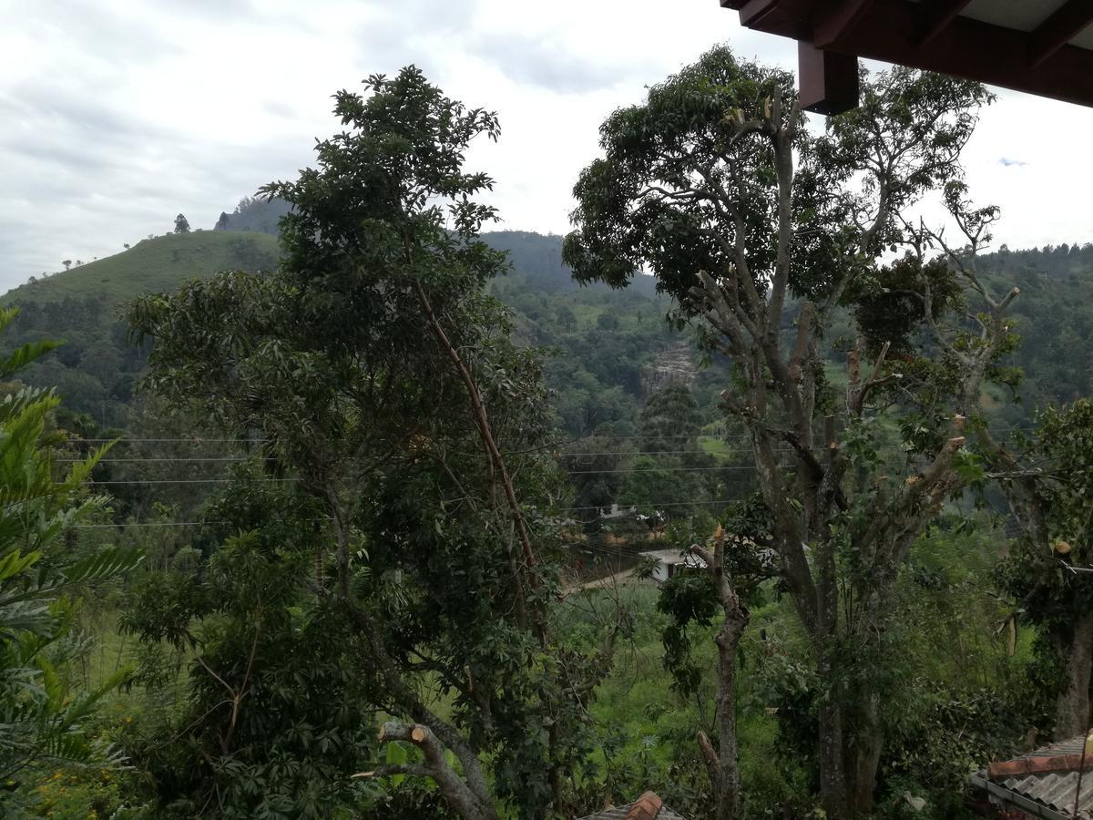 Ella Bamboo Cabana Dış mekan fotoğraf
