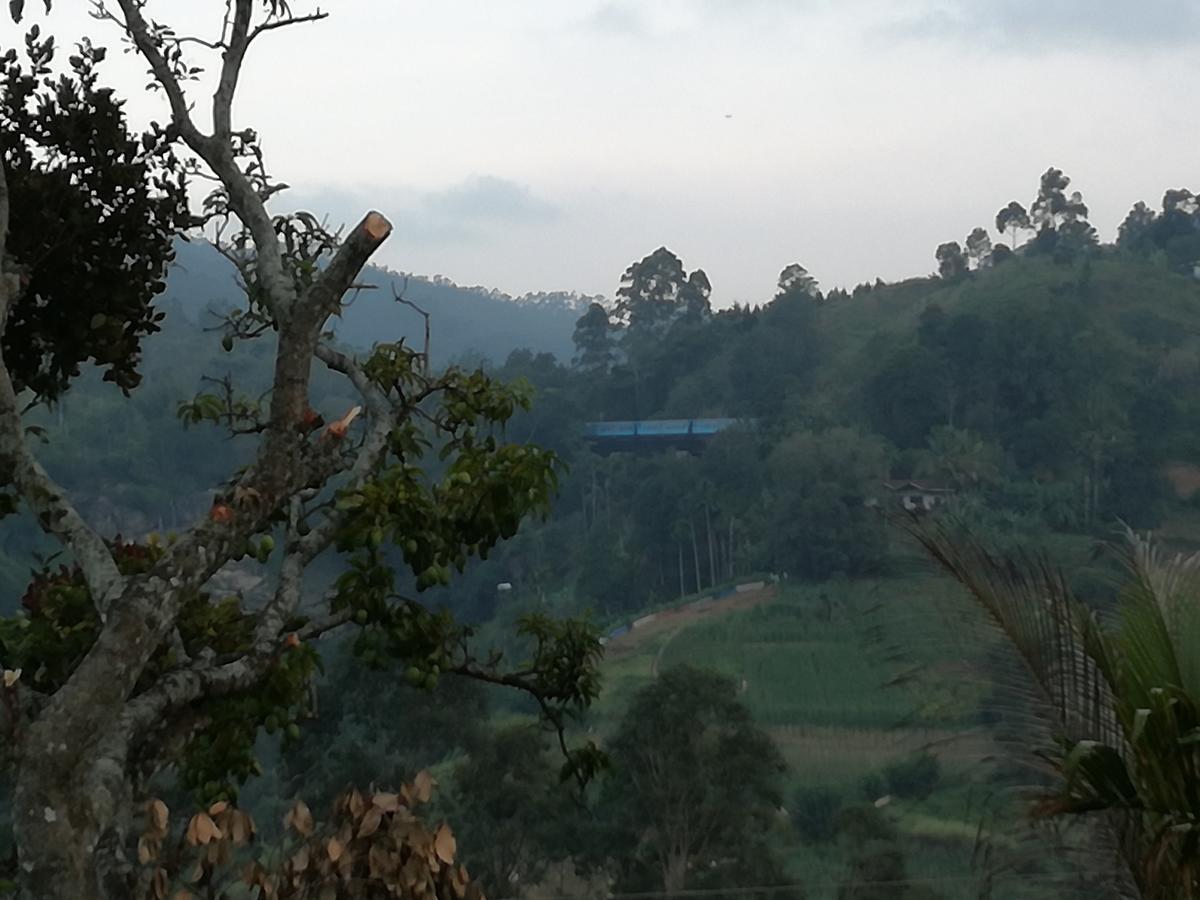 Ella Bamboo Cabana Dış mekan fotoğraf